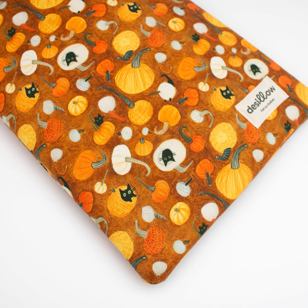 Pochette livre Cat in a pumpkin