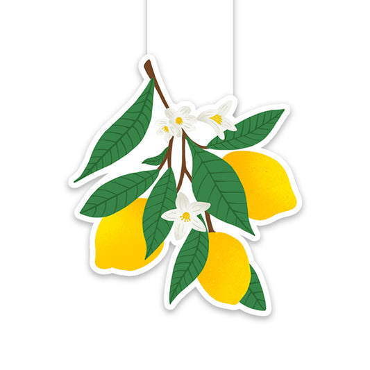Signet magnétique Branche de citron