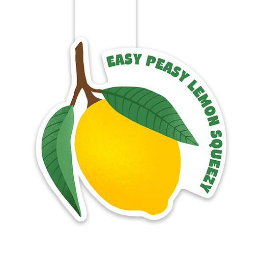 Signet magnétique Easy Peasy