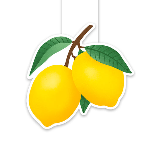 Signet magnétique Citron